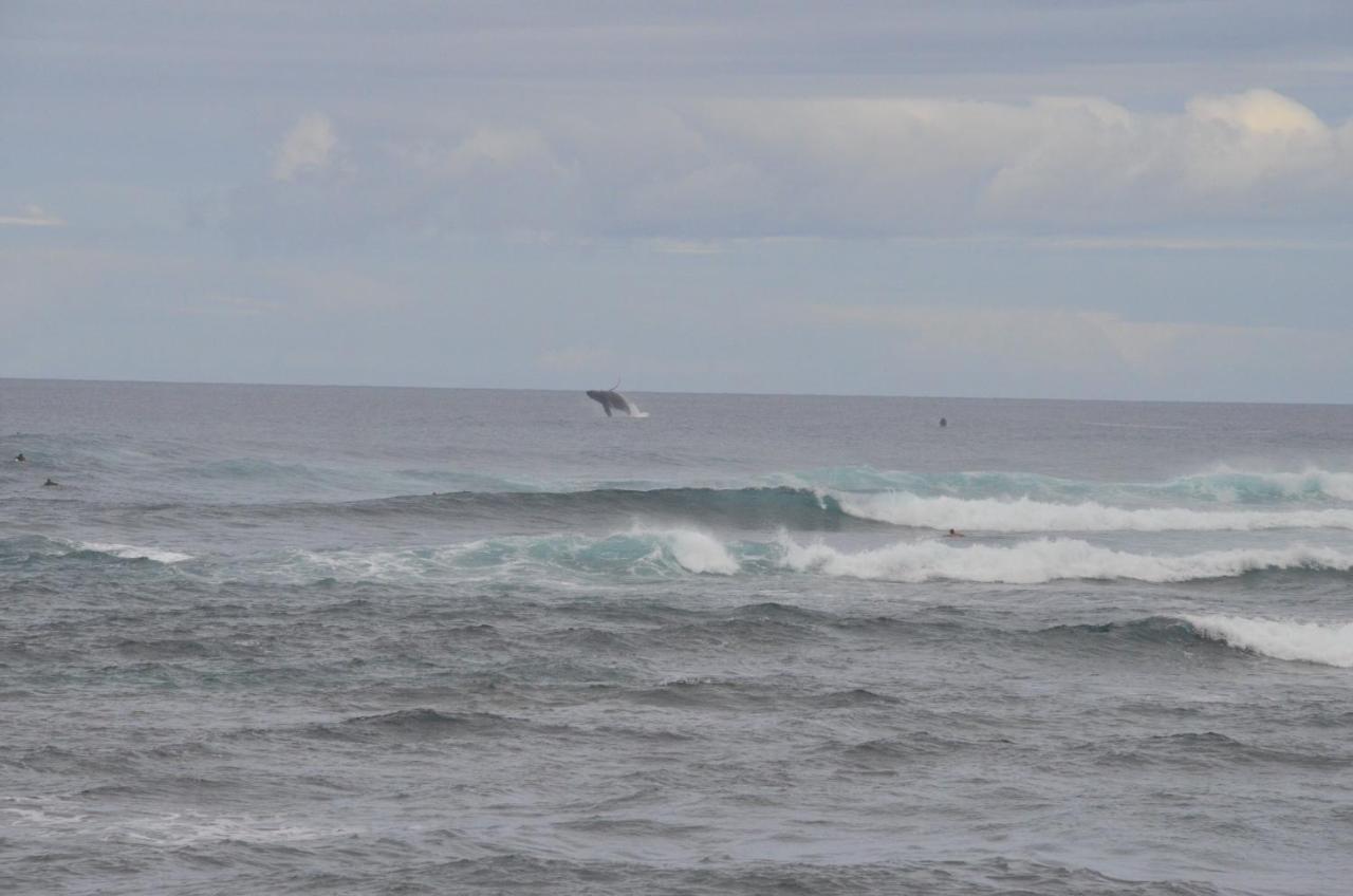 Mokule'Ia Beach Houses At Owen'S Retreat Waialua المظهر الخارجي الصورة